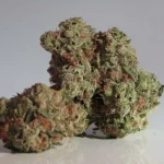 Relaxation with a Lift: Sativa Strains to Quiet Your Mind and Boost Your Mood 