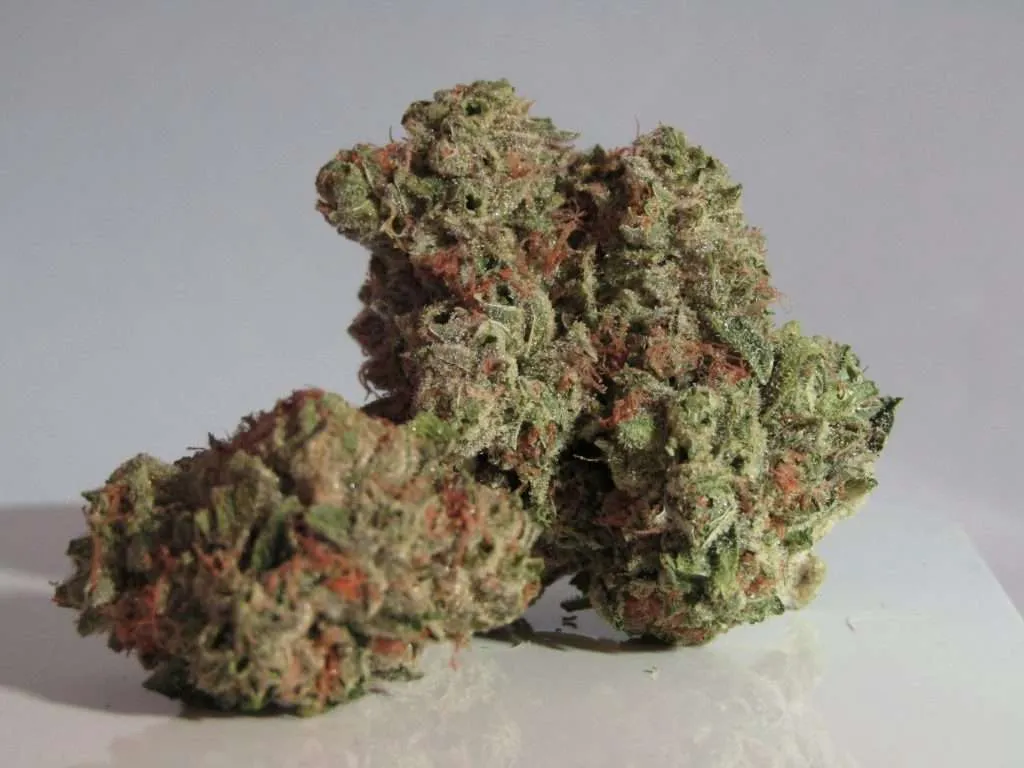 Relaxation with a Lift: Sativa Strains to Quiet Your Mind and Boost Your Mood